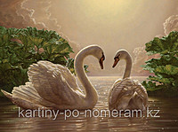 Картины раскраски по цифрам (по номерам) "Прекрасные лебеди"