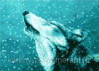 Картины по номерам - Алматы, "Волк под снегом"