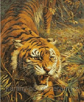 Картины по номерам - Алматы, "Тигр в кустах"