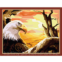 Картины по номерам - Алматы, "Орел на закате"