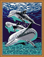 Картины по номерам - Алматы, "Дельфины"