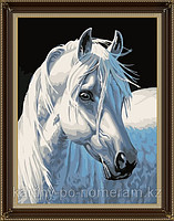 Картины по номерам - Алматы, "Белый конь"