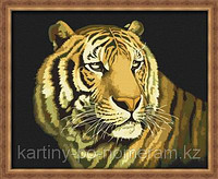 Картины по номерам - Алматы, "Задумчивый тигр"