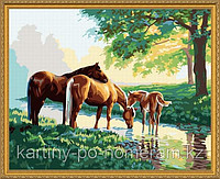 Картины по номерам - Алматы, "Лошади у реки 50x65"