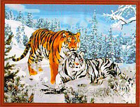 Картины по номерам - Алматы, "Два тигра"