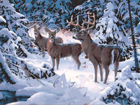 Картина по номерам "Олени в зимнем лесу"